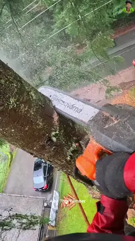 #treeclimber #treeclimbing #treecutting #usa