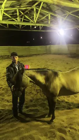 JA VIU ESSA DICA? #cavalos #domaracional #reininghorse #horse  @Ronaldo Kreusch 
