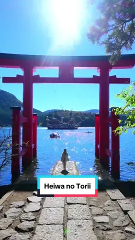 📸 Hakone Shrine : Red Gate of Peace #hakone #kanagawa #japan #lakeashi #shrine #hakoneshrine #jinja #myjapan #wanderfulanya #japanbycar #roadtrip #countryside #visitjapan #japanexplores #travel #explore #traveljapan 