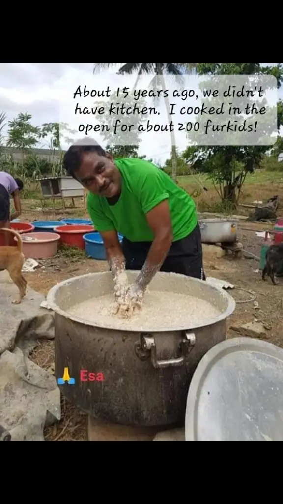 Esa Animal Shelter: Picture taken years ago. Then there were about 200 furkids only. We didn't have a kitchen. Only had two staff  to assist. I was working night in Spore to make ends meet. Was self funding. Every day would be shuttling to and fro. Would go to shelter in the afternoon. Quite new in fb too.  Relatively unknown. We were practically on our own. Fighting many challenges and some devils.  Started cooking for the furkids. No kitchen or lack of facility didn't deter. We assembled the bricks for stove and cooked in the open. We drew water from a well.  I remember vividly, the first day cooked meal was served. Very chaotic. Extremely messy. So much of commotion among the furkids. Fights erupted here and there. Like World War. Staff were drained. Tipped them generously to keep going. We managed and it became a routine. What's important was, the furkids loved our warm cooked delicious meal over the kibbles.  We don't make excuses. Excuses don't get  results.