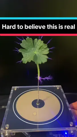 Musik Tesla Coil #Teslacoil #Plasma #fy #fyfyfyfyfyfyfyfyfyfyfyfyfyfyfyfyfyfy #tiktokviral #