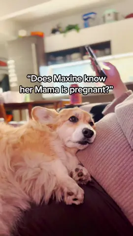 9 months of Maxine & Mama, and we can’t wait for the next chapter #dogsoftiktok #baby #mama 