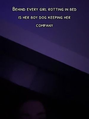 Best bed rotting buddy lol #fyp #relatable #dogsoftioktok #pitmix 
