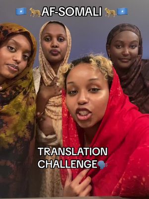 Why was this so fun #fyp #idk #somalichallenge #somalitiktok #language 