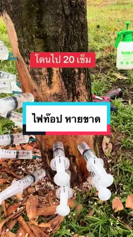 ไฟท็อปหายขาด  ##สวนทุเรียนอาจารย์เอก##อาจารย์เอก##หมอรี่##รักษาทุเรียน##TikTokuni##ทุเรียน ##หมอนทอง ##ปุ๋ย##ชาวสวน##เกษตรกร##หนุ่มสวนทุเรียน##คนรักทุเรียน##โรคทุเรียน##หมอทุเรียน