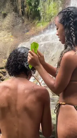 Aloe vera to refresh the curls 🇯🇲✨😁 #portlandjamaica #jamaica #natural 