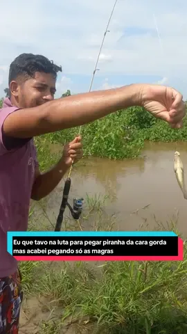 Eu que tavo na luta para pegar piranha da cara gorda mas acabei pegando só as  piranhas da cara magra 🤦🏻‍♂️ #pescador #pesca #viral #humorista #comediante 