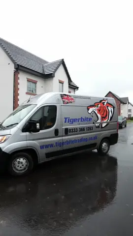 this machine has been incredible. I know it’s not going to work on every job but on this one it’s been a lifesaver. Let us know if you do have any questions about this machine as we are using it again tomorrow and I can answer any questions then #gardentok #GardenMakeover #Landscaping #tigerbite @Tigerbite Mini Crushers 