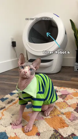 #ad Tracking Marshall’s gainz has never been easier thanks to @Litter-Robot and the Litter-Robot 4! 💪🏻 Also never having to scoop again is pretty amazing too😉Link is in my bio to shop now! #litterrobot #litterrobotpartner #litterbox #sphynx #hairlesscat 
