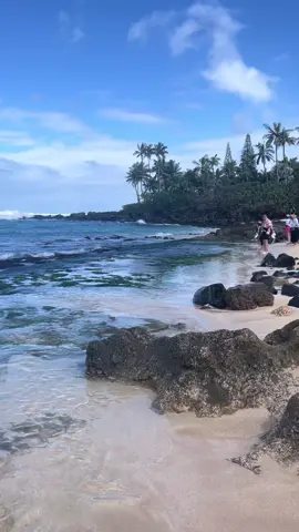 little bits of O’ahu :)