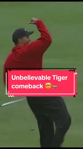 7 shots back with 7 holes to play and Tiger ends up winning the tournament by 2 🤣🐐 #tigertuesdays #PGATOUR #sports #pebblebeach #goat 