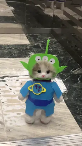 “You have saved our lives. We are eternally grateful”😚#cat#funny#costume #Alien #toystory #cute #cutecat#kitty #funnycat 