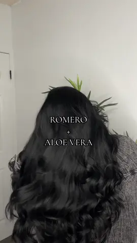 Hermosas! Ya trataron Romero con Sabila? 🫡🌿#fyp #xybca #hairtok #cabellolargo #romero 