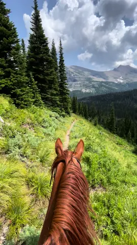 Thelma’s power walk is something else. Cannot wait to speed through some more of these mountains this summer  #montana #glaciernationalpark #thelma #powerwalk #equineasmr #asmr #reddeadredemption #mountains #horses #horseriding #greengoldandblues 