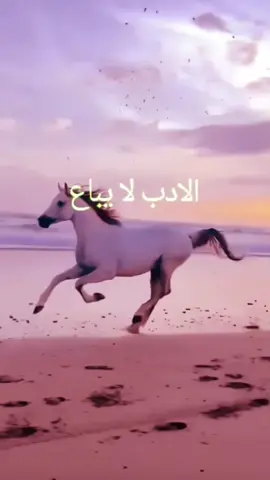الأدب لايباع ولا يشترى بل هو طابع فى قلب كل من تربى ..فليس الفير من فقد الذهب إنما الفقير من فقد الأخلاق والأدب #كلام_للعقول_الراقية #تطوير_الذات #خواطر #علم_النفس 