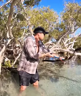 #bushcraft #survival #fishing #fishtok #foryou #viralvideo