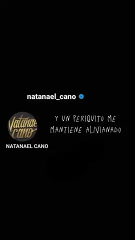 Periquito - natanael cano @Natanael Cano 