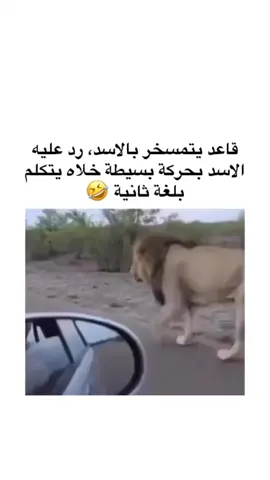 #إكسبلور #explore 
