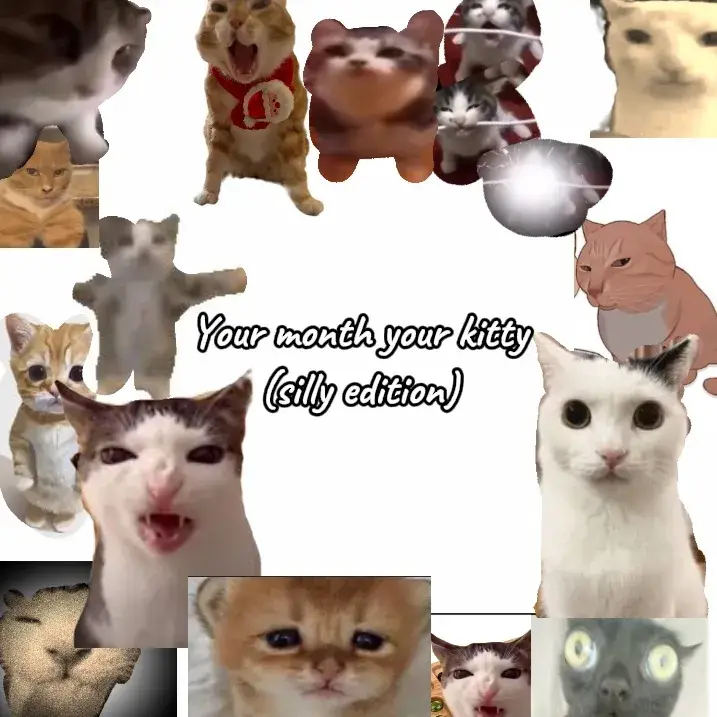 ~ This genually took an hour im gonna try and post more higher quality videos #kitty #silly #cats #birthday ☆