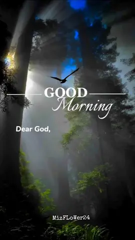 Good Morning All the problems are stuck between 'Mind' and 'Matter'. If you don't 'Mind', it doesn't 'Matter'. Have A Wonderful Day✨🤍🖤#goodmorningmessage #mizflower24🤍 #mizflower942 #goodmorningstatus #goodmorningvideo #goodmorningpositivevibes #goodmorningpositivemotivation #tamilstatus #tamilstatusvideos #morningstatus 