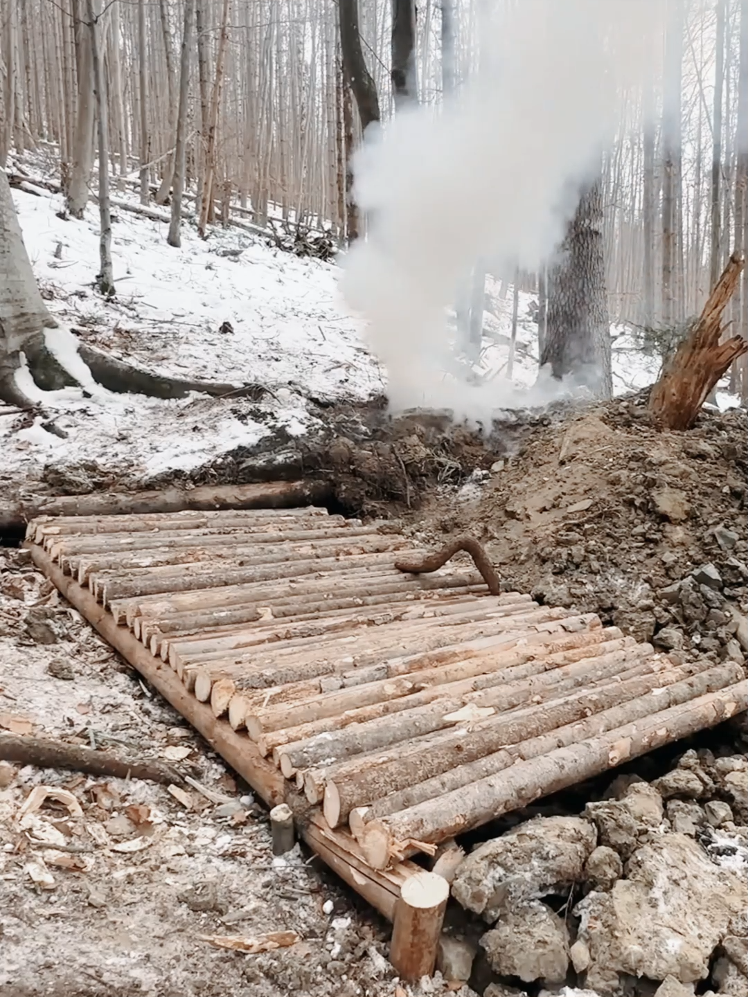 Underground Bushcraft Shelter in the winter forest #bushcraft  #build  #camp  #camping  #ourdoor  #survival  #shelter  #viral  #fyp  #craftingvisionary