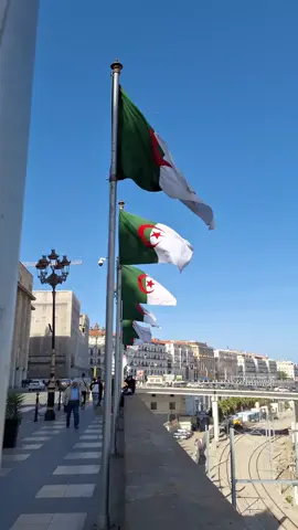 🇩🇿🇩🇿🇩🇿🇩🇿🇩🇿🇩🇿 #algerie #algeria #algerien #algerienne #alger #algiers #drapeau #flag 