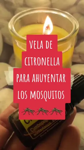 Vela ahuyenta mosquitos ⛔️⛔️🦟🦟 #velacasera #velanatural #velaaromatica #emprendimiento #ahuyentamosquitos #citronella #repelentenatural #repelente 