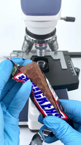 Checking out a Snickers bar magnified 400 times is seriously cool,huh?#microscope 