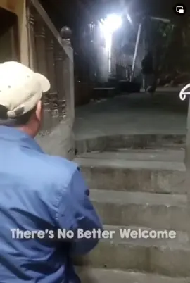 There's No Better Welcome than a dog's welcome. 💙 Ccto: Video not mine. The Woof World. Enjoy! 😌 #furbabylove #furbaby #Love #loveofthedog #tiktok #trend #LoveIsLove #Love #pet #petlove 