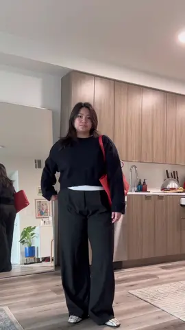 A look for the office #midsizefashion #size12fashion #minimalfashion #outfitoftheday #winteroutfit 