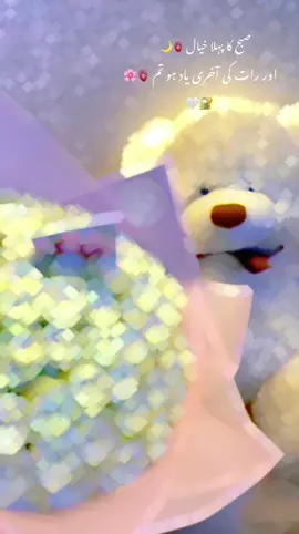 میری صبح کا پہلا خیال ہو تم 🤍💞🔐🌸🫀 #CapCut  #teadybear  #teadybear❤️❤️❤️❤️_  #lego  #trending  #iloveyou ُ#couplelove  #lovers  #lovepotry  #lovepotry  #teady_🍵🐻  #couple   #teadybear❤️❤️❤️❤️  #teady_🍵🐻  #foruyou  #lovevedio #foryoupage❤️❤️  #100k  #viral  #cartoon  #couple  #couplelove  #goodmorningvideo #CapCut 