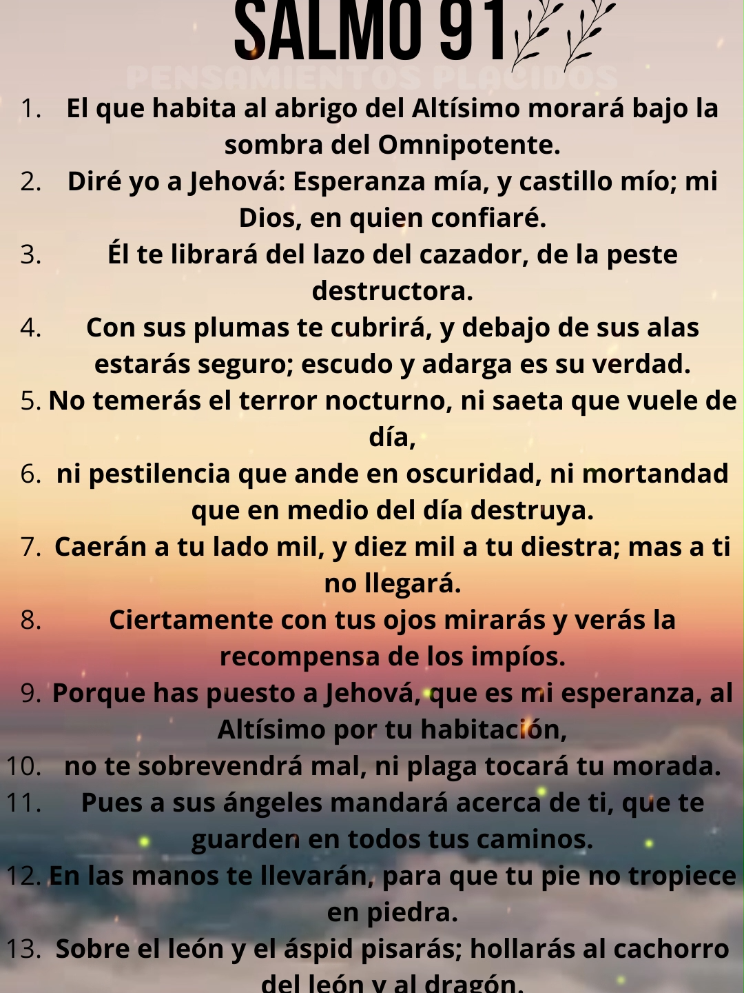 SALMO 91 ORACION PODEROSA DE LA BIBLIA #oracion #oracionespoderosas❤️ #oracionespoderosas #salmo91 #salmo91🙏🏻♥️ #salmo23 #salmo23🙏😇 #dios #diosesamor #reflexiones #bibliahablada #versiculos #biblia