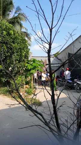 Đàn trai qua tới.