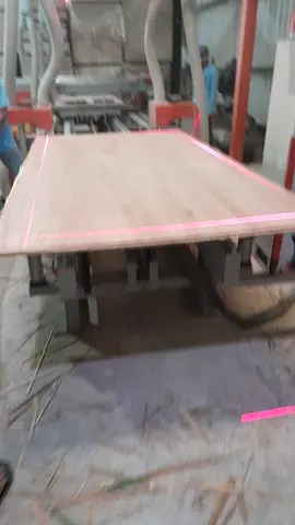 Potongan dijamin lurus wes...rausah ragu2😆...Semangat para pejuang triplek💪💪#plywoodproject #plywood #plywooddesign #mlhplywood #plywoodsupplier #longervideos 