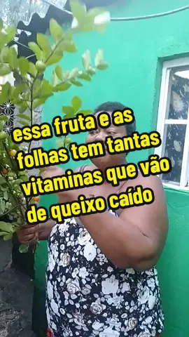chá milagroso 
