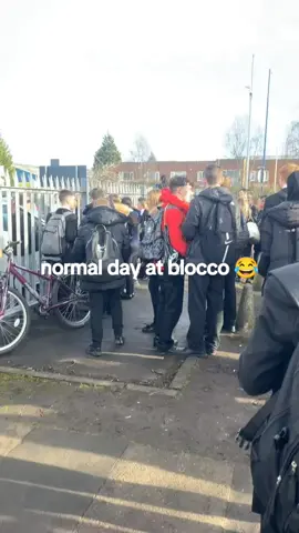 blocco went mad today 😂