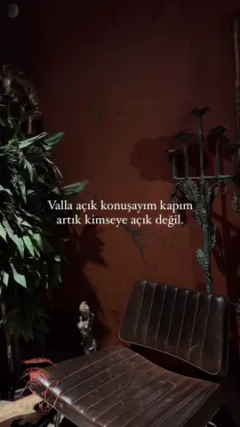 Lady Polymath Video  #aşk #psikoloji #keşfet #kesfet #keşfetbeniöneçıkar #motivation #motivasyon #kesfetteyiz #fyp #kesfett #like #tiktok #viral #keşfett #fyp 