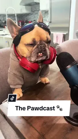 That last topic though 😅… Theres a lot to take in here #podcast #dogs #pawdcast #frenchbulldog #teef #dogparent #spayandneuter cred @Josh Benson  @Somefrenchienamedapollo  @Somefrenchienamedapollo 