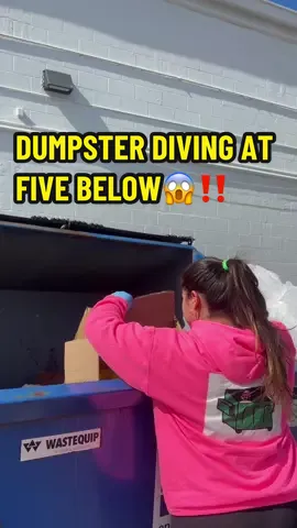Dumpster Diving at five below😯 found posters and a TV😱‼️✨ #dumpsterdiving #unitedstates #usa #fyp #viral #fivebelow #fivebelowhaul #crazyfinds #meldidumpsterdive #trashpanda #dumpsterdive 