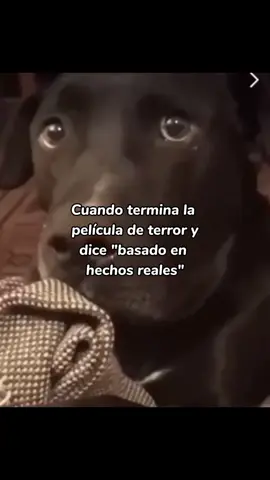 #memes #peliculasdeterror #peliculas #basadoenhechosreales #hechosreales #humor #fypシ゚viral 