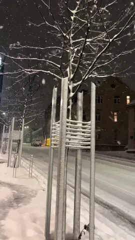 Tromsø night 😍 . . . . #norge #snow #time #tik_tok #tromsø #tromsø_norge #norway 