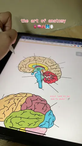 #anatomy #viral #nursingstudent #fypシ゚viral #fyppppppppppppppppppppppp #nursingschool #fyp #digitalart #nursing 