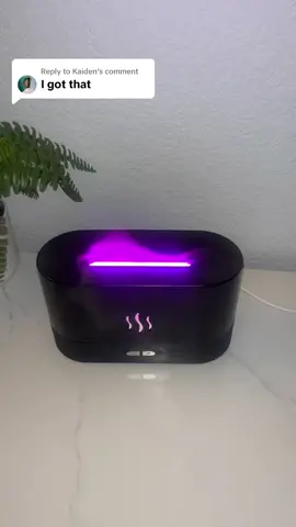 Replying to @Kaiden #tiktokshopvalentinesday #tiktokshopfinds #aromatherapy #earbuds #portablemonitor #humidifier #lashkit #queenmeeks17 