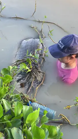 Amazing Fish Trap For Giant River Monsters 😱 #fishing 