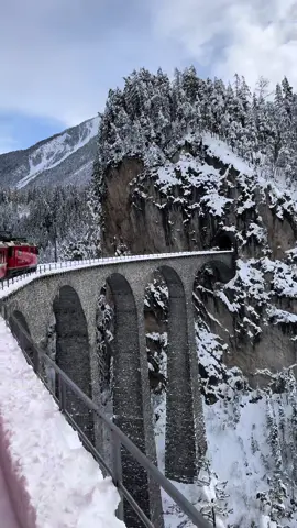 POV: You take the panoramic train through the swiss alps 🇨🇭#berninaexpress #switzerland #swissapls #🇨🇭 #panoramictrain #train #bucketlist #bucketlisttravel #dream #bridge #switzerlandtravel #switzerlandtourism #snow #snowfall #fy #fyp #parati #bernina