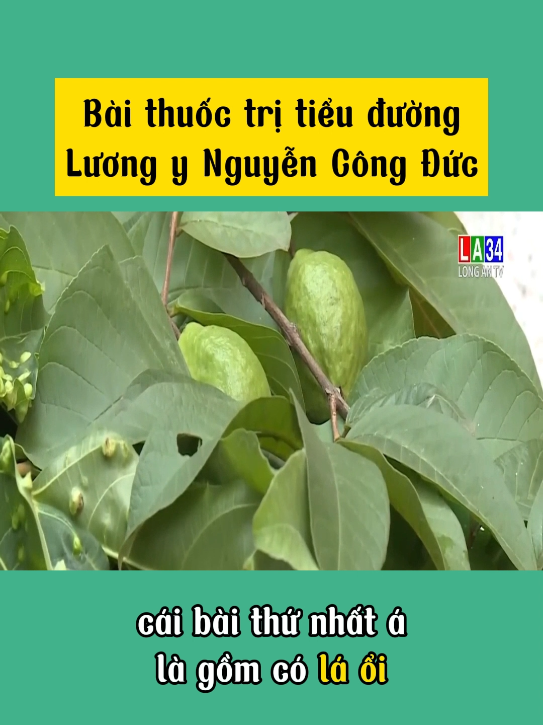 Cách ổn định đường huyết tại nhà #suckhoe #suckhoechomoinguoi #baithuocdangian #baithuochay #yhoccotruyen #tieuduong #nguyencongduc #nesfaco #xuhuong #kienthuc #tiktok