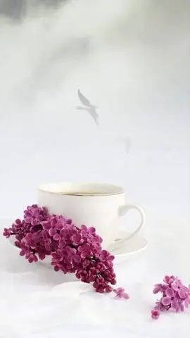 عليه أفضل الصلاة والسلام مزخرفة ... عَلَيْكَ الصَّلَاةُ وَالسَّلَامُ يَا حَبِيبِي يَا رَسُولَ اللَّهِ بِعَدَدِ كُلِّ حَرْفٍ مِنْ حُرُوفِ الْقُرْآنِ، 🌹