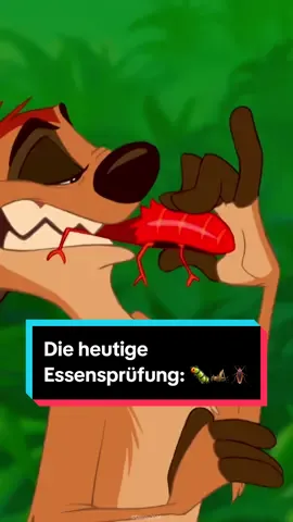 Wen würdest du in die nächste Prüfung wählen? 🤭 #Dschungelcamp #Ibes #KönigderLöwen #disneyde #disneyplus #WhatToWatch