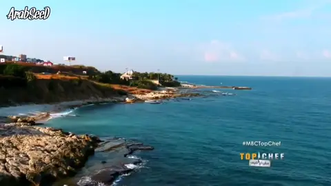 @mohamed si abdelkader: #توب_شيف #الموسم_السابع #محمد_سي #شيف_محمد_سي #ام_بي_سي #السعودية #الجزائر #فلسطين #الوطن_العربي 