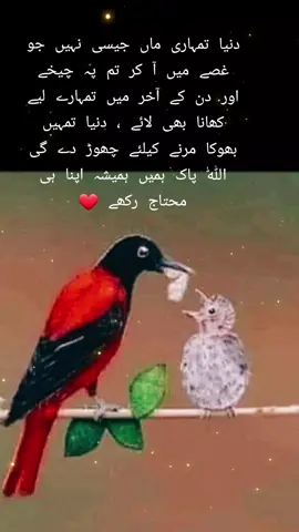 #duet #naturevibes 